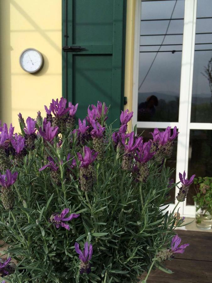 Il Giardino B&B Castelvetro di Modena Exterior foto