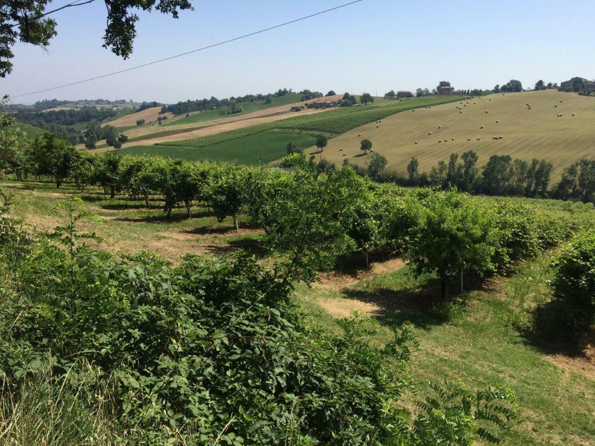 Il Giardino B&B Castelvetro di Modena Exterior foto