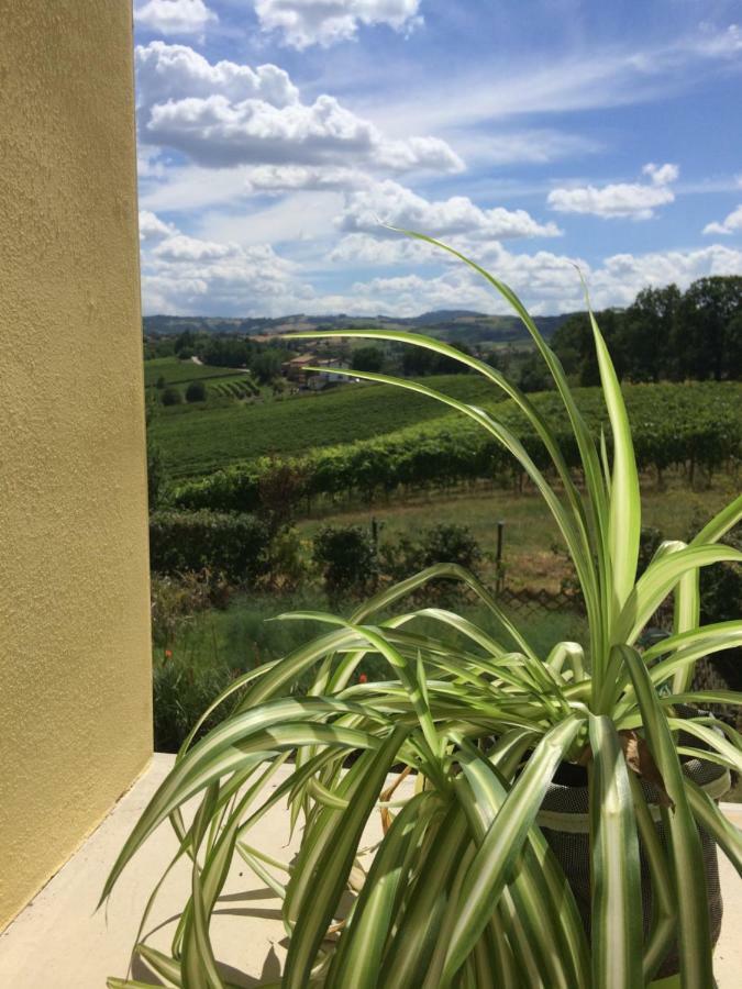 Il Giardino B&B Castelvetro di Modena Exterior foto