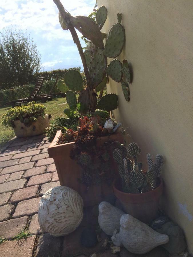 Il Giardino B&B Castelvetro di Modena Exterior foto